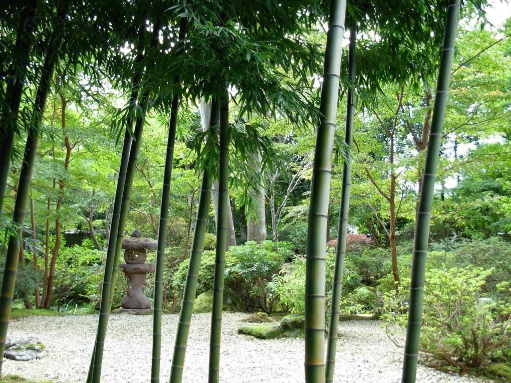 ホテル 匠の宿　佳松 箱根町 エクステリア 写真